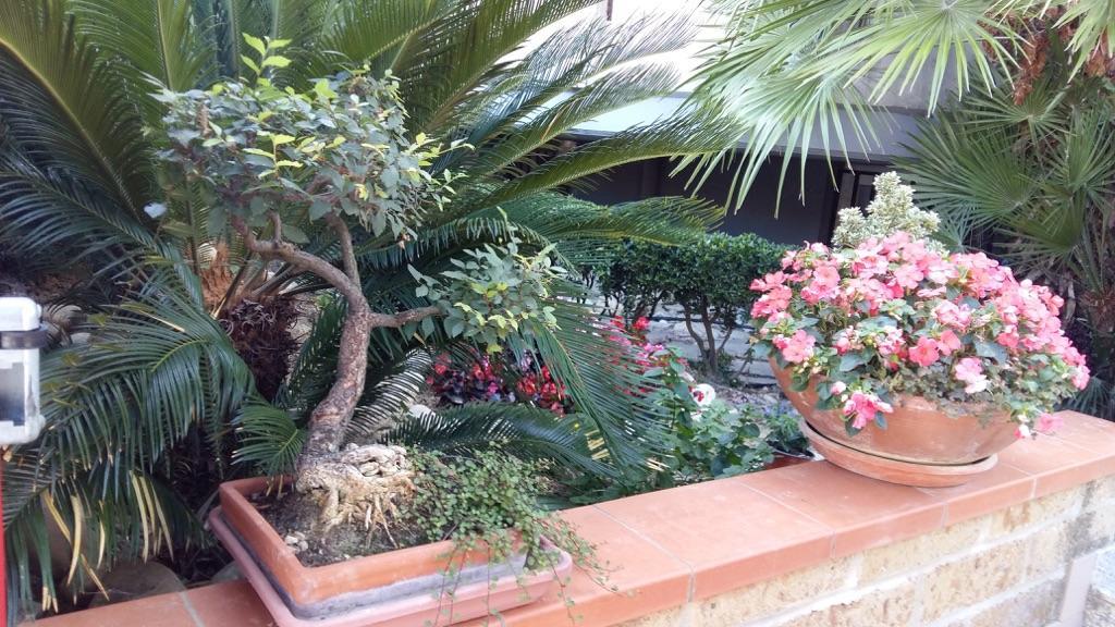B&B Mirella Citta Sant'Angelo Exterior foto